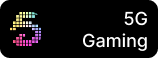 5G